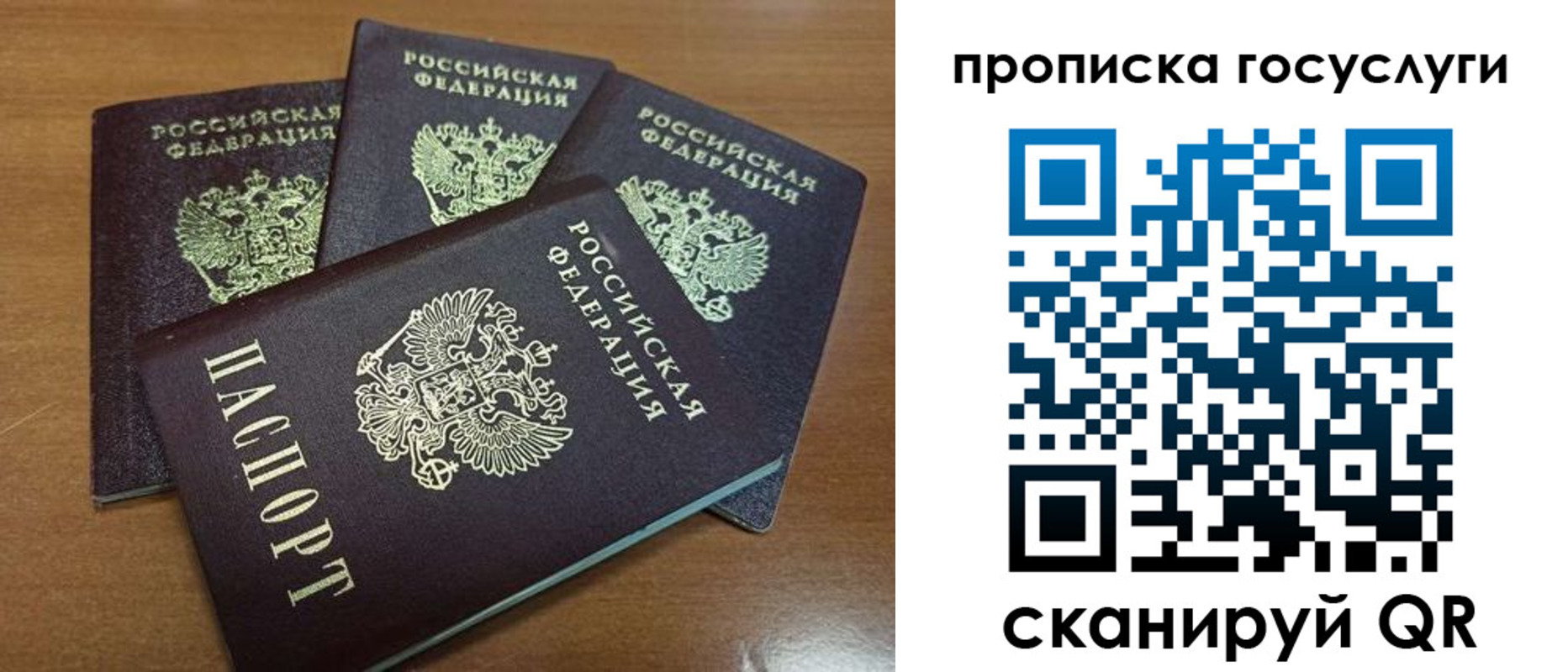 прописка 2025 в Бикине